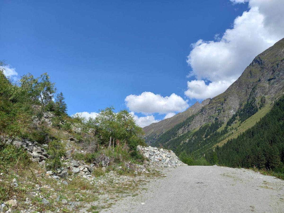 Haus Waldfriede Lejlighed Sankt Leonhard im Pitztal Eksteriør billede