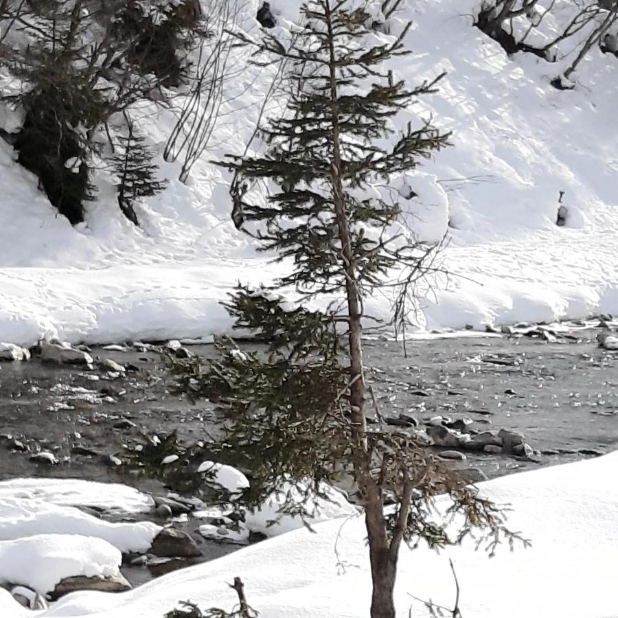 Haus Waldfriede Lejlighed Sankt Leonhard im Pitztal Eksteriør billede